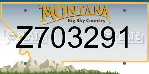 Z703291 Montana License Plate