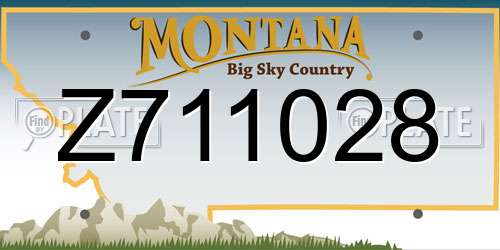 Z711028 Montana License Plate