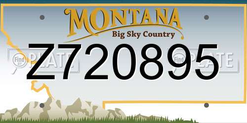 Z720895 Montana License Plate