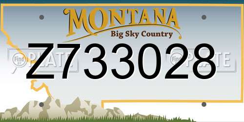 Z733028 Montana License Plate