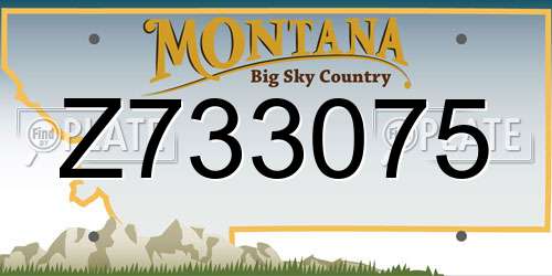Z733075 Montana License Plate