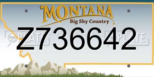 Z736642 Montana License Plate