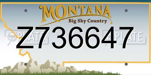 Z736647 Montana License Plate