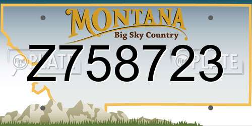 Z758723 Montana License Plate
