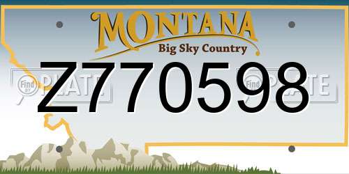 Z770598 Montana License Plate