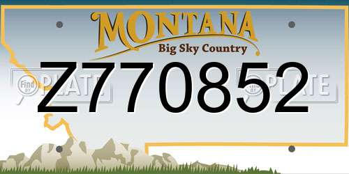 Z770852 Montana License Plate