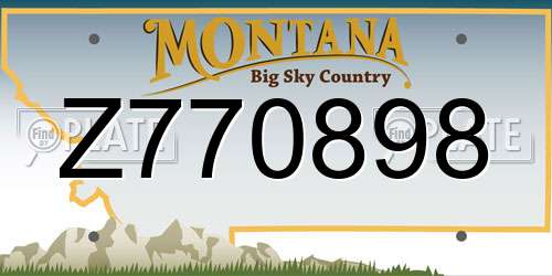 Z770898 Montana License Plate