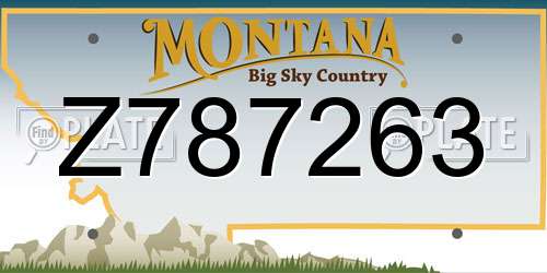 Z787263 Montana License Plate