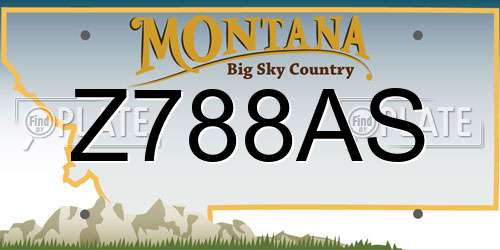Z788AS Montana License Plate