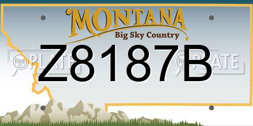 Z8187B Montana License Plate