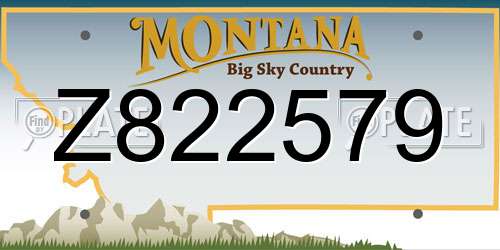 Z822579 Montana License Plate