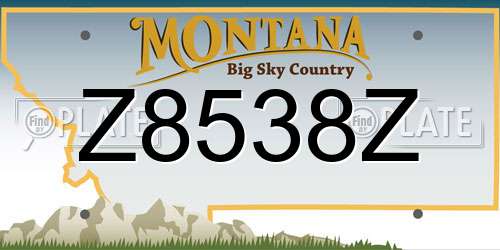 Z8538Z Montana License Plate