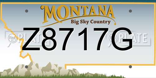 Z8717G Montana License Plate