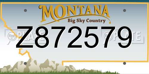 Z872579 Montana License Plate