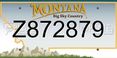 Z872879 Montana License Plate