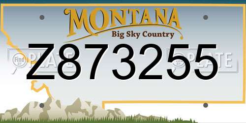 Z873255 Montana License Plate