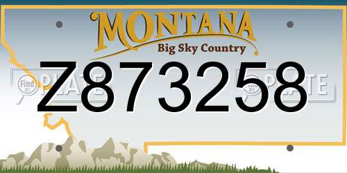 Z873258 Montana License Plate