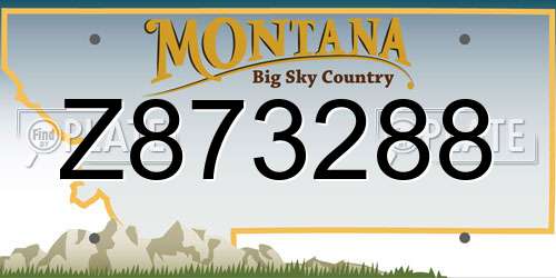Z873288 Montana License Plate