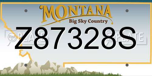 Z87328S Montana License Plate