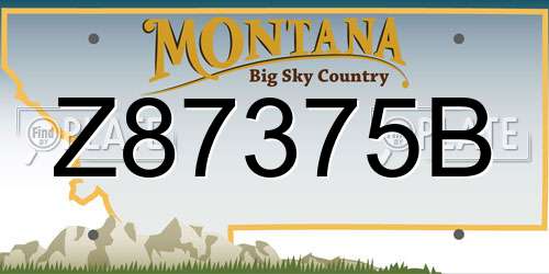 Z87375B Montana License Plate