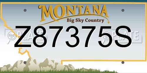 Z87375S Montana License Plate
