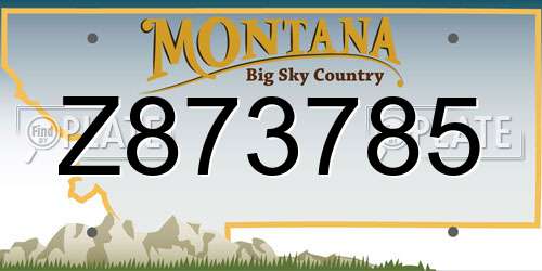 Z873785 Montana License Plate