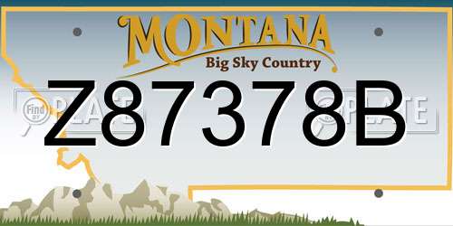 Z87378B Montana License Plate