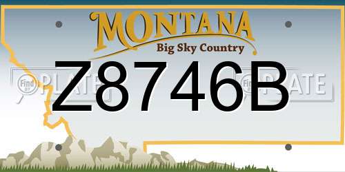 Z8746B Montana License Plate