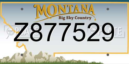Z877529 Montana License Plate