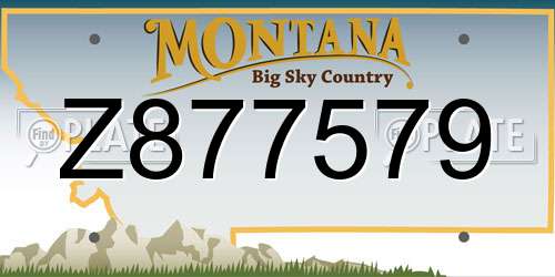 Z877579 Montana License Plate