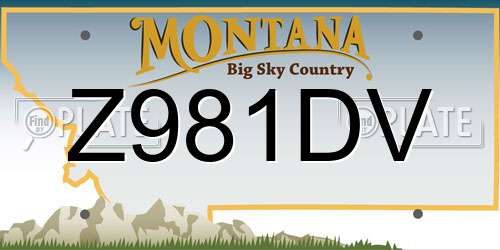 Z981DV Montana License Plate