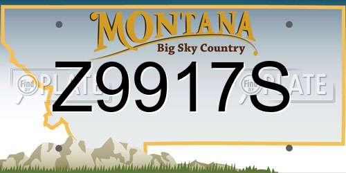 Z9917S Montana License Plate