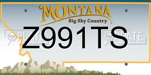 Z991TS Montana License Plate
