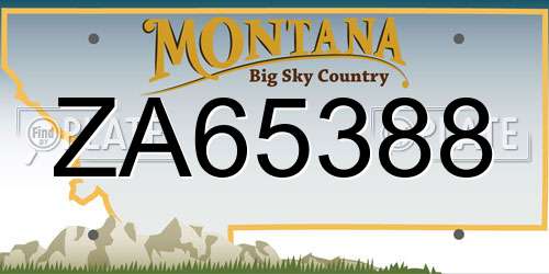 ZA65388 Montana License Plate