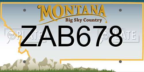 ZAB678 Montana License Plate