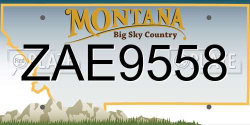 ZAE9558 Montana License Plate