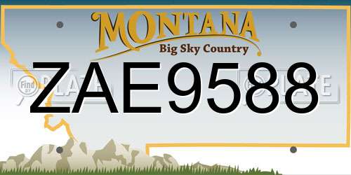 ZAE9588 Montana License Plate