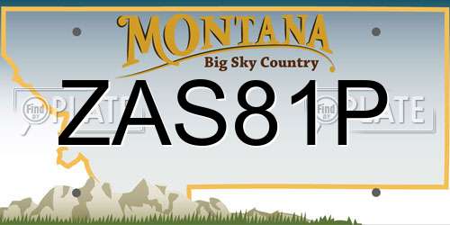 ZAS81P Montana License Plate