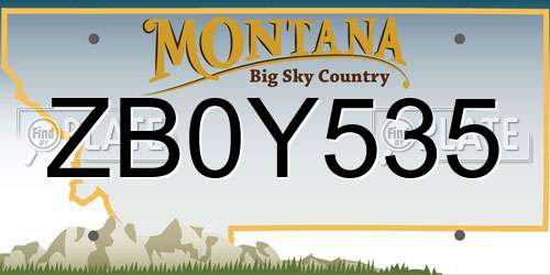 ZB0Y535 Montana License Plate