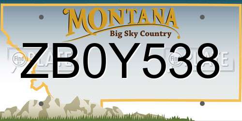 ZB0Y538 Montana License Plate