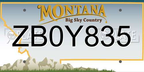 ZB0Y835 Montana License Plate