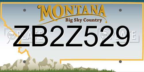 ZB2Z529 Montana License Plate