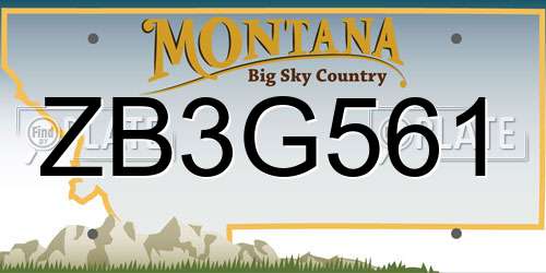 ZB3G561 Montana License Plate