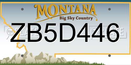 ZB5D446 Montana License Plate