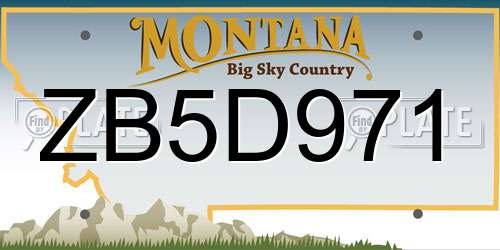 ZB5D971 Montana License Plate
