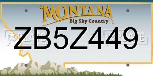 ZB5Z449 Montana License Plate