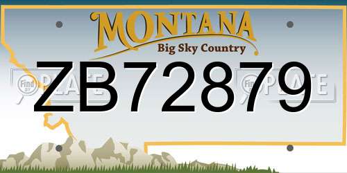 ZB72879 Montana License Plate