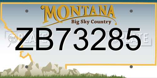 ZB73285 Montana License Plate