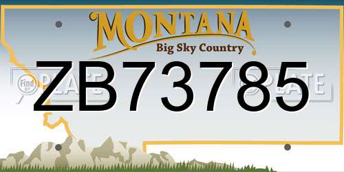 ZB73785 Montana License Plate