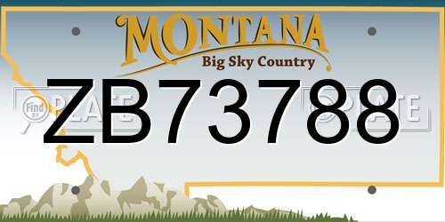 ZB73788 Montana License Plate